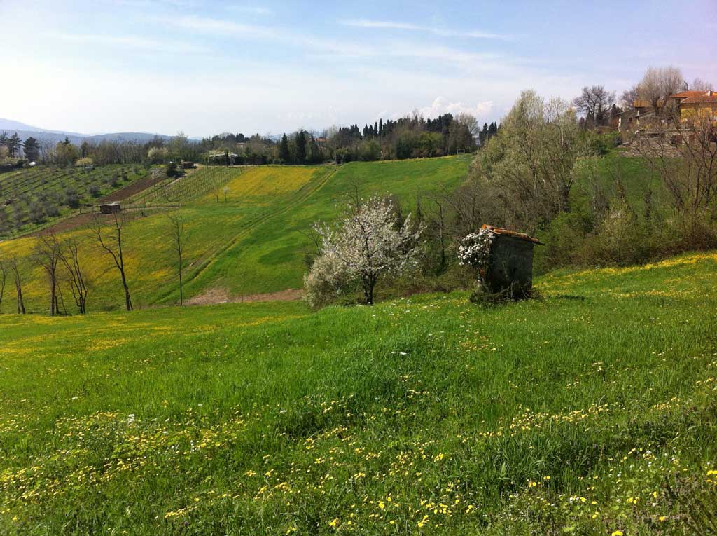 Primavera a Bivigliano